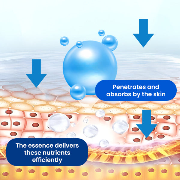 Fortien™ Osteo Reinforce Essence