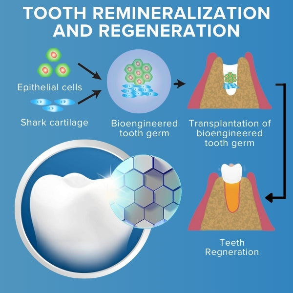 AEXZR™ Shark Cartilage Protein Dental Regrowth Strips